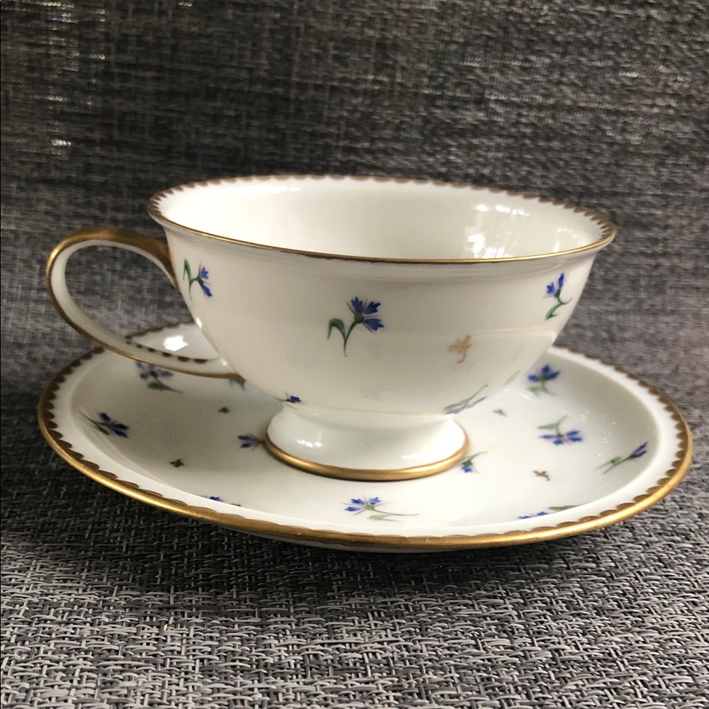 Elegant Floral Rosenthal, SELB Germany Teacup and Saucer Set